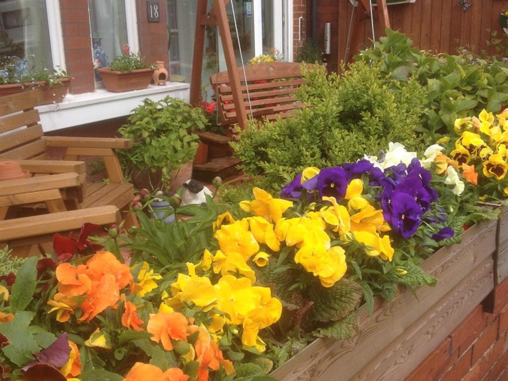 Bed and Breakfast The Broadfield Bridlington Exteriér fotografie